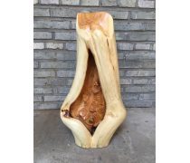 姹紫嫣紅，香飄四季 探索花卉產品庫的絢麗世界